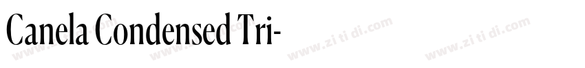 Canela Condensed Tri字体转换